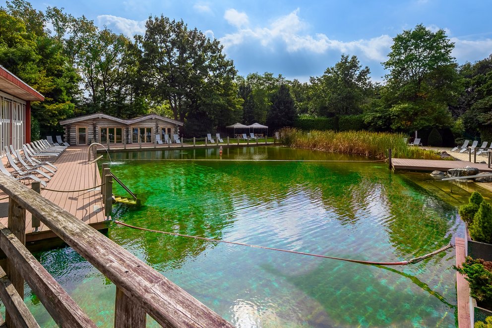 Pool mit Holzdeck und Gartenlandschaft. Ein Pool mit Holzdeck und Holzzaun, umgeben von einer ruhigen Gartenlandschaft.