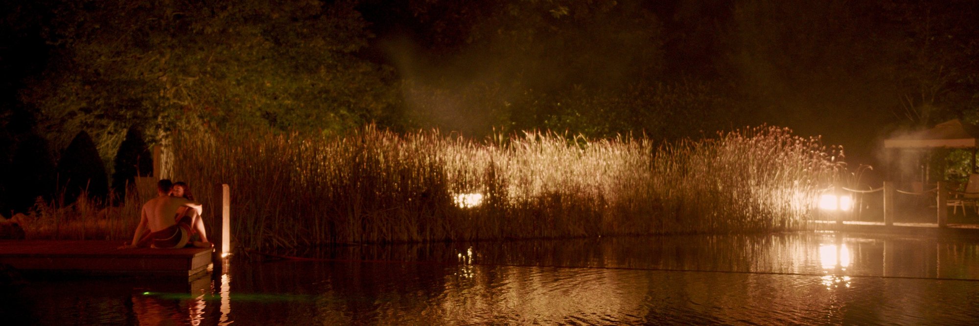 Wasserlandschaft bei Nacht mit Baumumrandung. Das Bild zeigt eine friedliche Nachtszene am Wasser, umgeben von Bäumen und sanft beleuchtet von einigen Lichtern.