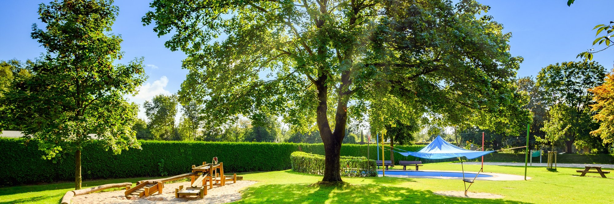Großzügiger Grünbereich mit schattenspendendem Baum Das Bild zeigt einen sonnigen Tag im Freien, mit einem großzügigen grünen Bereich und einem großen Baum, der Schatten spendet.